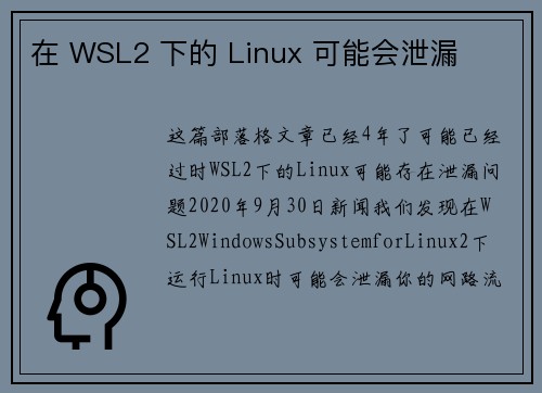 在 WSL2 下的 Linux 可能会泄漏 